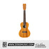 Cordoba 20CM Mahogany Concert Ukulele - Mahogany Top, Mahogany back and sides |  CORDOBA |  UKULELE |  Zoso Music