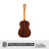 Cordoba C10 Crossover Nylon String Acoustic Guitar - Solid European Spruce Top, Solid Rosewood Back & Sides |  CORDOBA |  ACOUSTIC GUITAR |  Zoso Music
