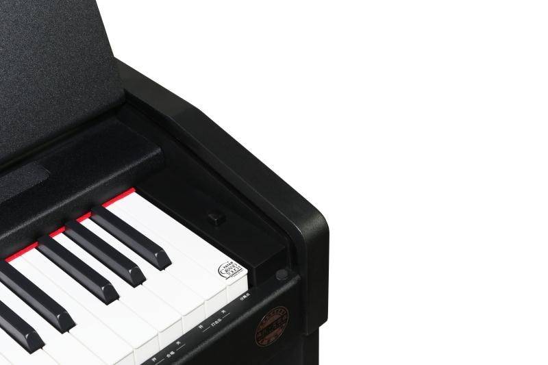 Flykeys FK100 88-Keys Digital Piano - Black