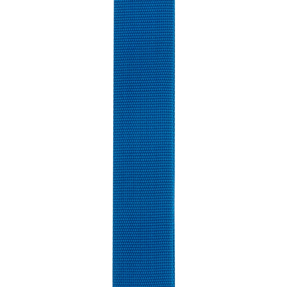 D’addario PWSAL402 Auto Lock Polypro Guitar Strap, Blue