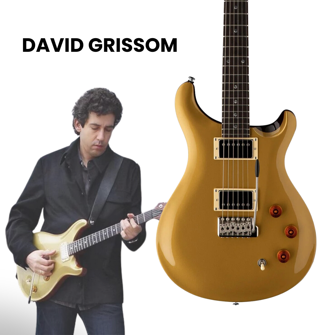 PRS SE DGT David Grissom Signature Solidbody Electric Guitar, Gold Top