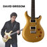 PRS SE DGT David Grissom Signature Solidbody Electric Guitar, Gold Top |  PRS |  ELECTRIC GUITAR |  Zoso Music