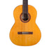 Cordoba Dolce 7/8 - Solid Canadian Cedar Top, Mahogany Back & Sides, Smallsized & Lightweight Classical Guitar |  CORDOBA |  CLASSICAL GUITAR |  Zoso Music
