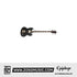 EPIPHONE EB - 3, 2 PICKUP, 4 STRING BASS, EBONY | EPIPHONE , Zoso Music