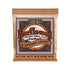 Ernie Ball Earthwood 12-String Light Phosphor Bronze Acoustic Guitar Strings | Zoso Music Sdn Bhd