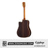 Epiphone Hummingbird Deluxe EC Acoustic-Electric Guitar - Autumn Burst |  EPIPHONE |  ACOUSTIC GUITAR |  Zoso Music