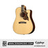 Epiphone Hummingbird Deluxe EC Acoustic-Electric Guitar