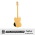 Epiphone EISPTVNH1 SG Special P-90 Electric Guitar - TV Yellow |  EPIPHONE |  ELECTRIC GUITAR |  Zoso Music