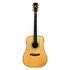 Enya T10S-De 41" Tribute Series Sitka Spruce Solid Top Dreadnought Acoustic Guitar EQ With Hardcase |  ENYA |  ACOUSTIC GUITAR |  Zoso Music