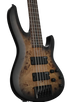 ESP LTD B-5 Ebony Bass Guitar - Charcoal Burst Satin |  ESP |  BASS GUITAR |  Zoso Music