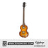 Epiphone EBVIVSCH1 Viola Bass - Vintage Sunburst |  EPIPHONE |  BASS GUITAR |  Zoso Music