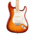 Fender American Professional Stratocaster Electric Guitar, Maple FB, Sienna Sunburst |  FENDER |  ELECTRIC GUITAR |  Zoso Music