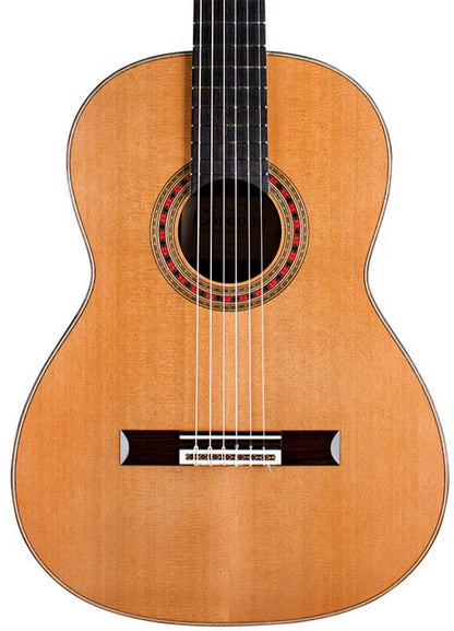 Cordoba Friederich CD PF Classical Guitar - Solid Canadian Cedar Top, Solid Rosewood Back & Sides, With Cordoba Humidified Archtop Wood Case