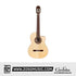 Cordoba GK Studio Limited Classical Guitar - Solid European Spruce Top, Ziricote Back & Sides with Pickup & Gator Guitar Case
