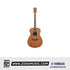 Yamaha Storia II Concert Acoustic Guitar |  YAMAHA MUSIC |  ACOUSTIC GUITAR |  Zoso Music