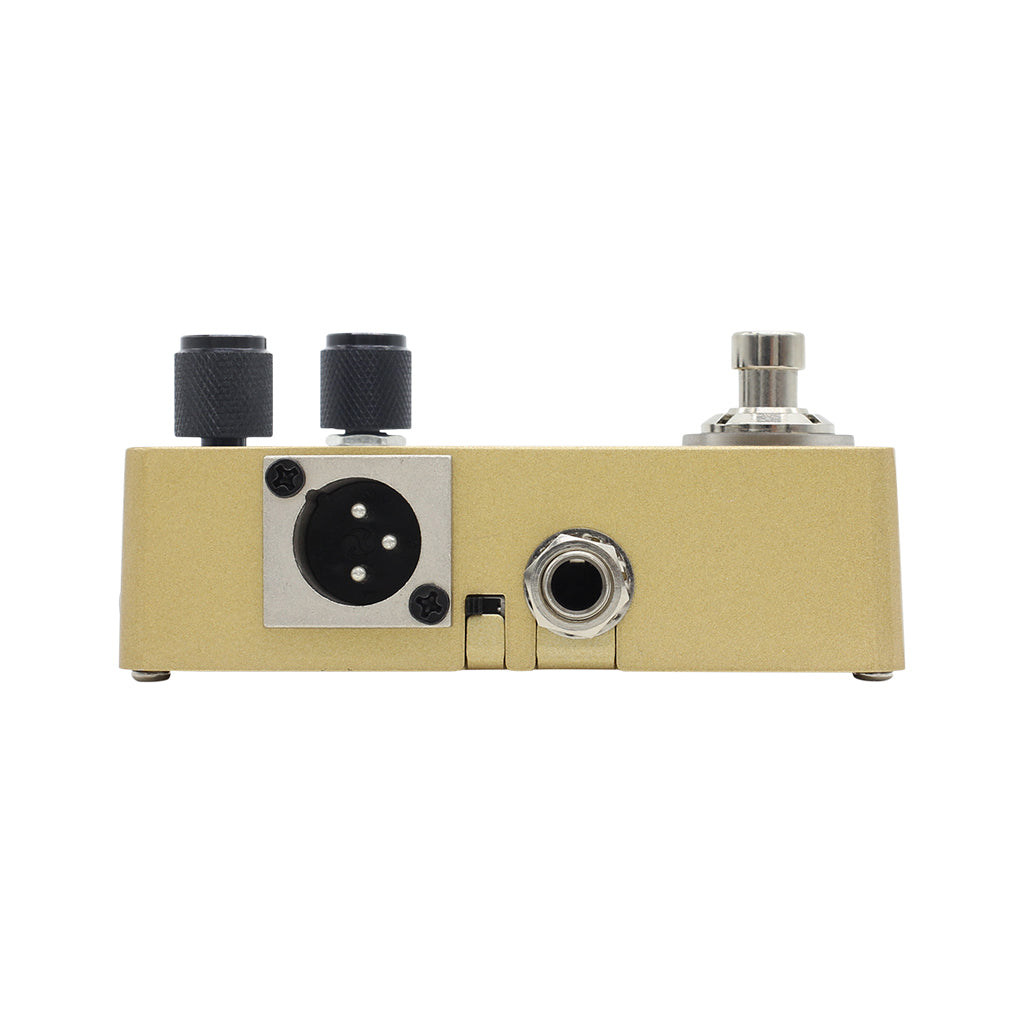 Hotone Omni AC Acoustic Simulator Guitar Pedal Zoso Music