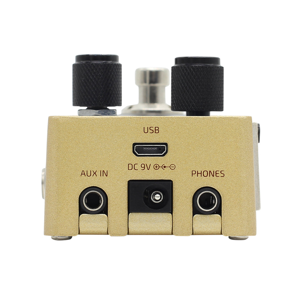 Hotone Omni AC Acoustic Simulator Guitar Pedal Zoso Music