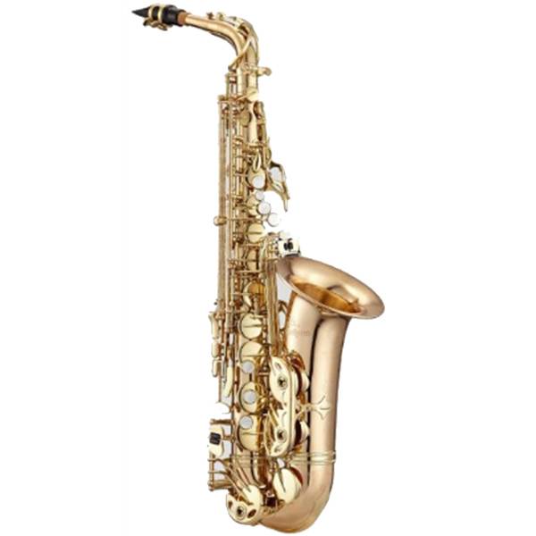 Antigua AS4240RLQ Powerbell Professional Alto Saxophone Brass Body With Case - Lacquer (AS4240 RLQ)