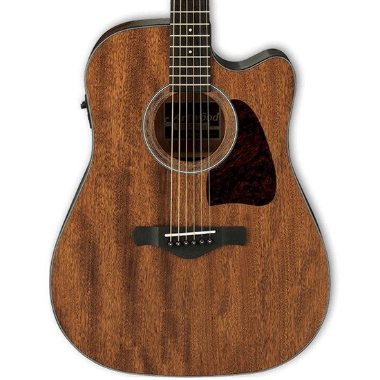 Ibanez AW54CE Acoustic Guitar w/Pickup - Open Pore Natural