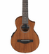 Ibanez EWP14WB-OPN Piccolo Acoustic Guitar w/Bag, Open Pore Natural