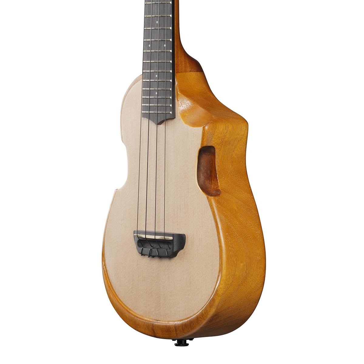 Ibanez AUC10E Acoustic-Electric Concert Ukulele - Open Pore Natural |  IBANEZ |  UKULELE |  Zoso Music