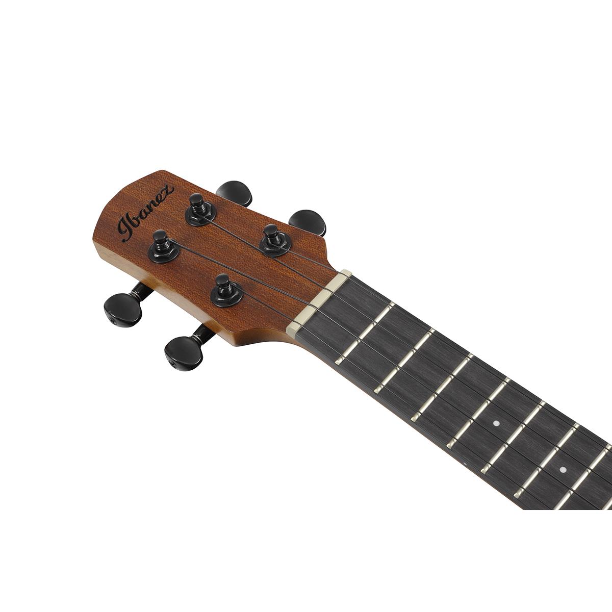 Ibanez AUC10E Acoustic-Electric Concert Ukulele - Open Pore Natural |  IBANEZ |  UKULELE |  Zoso Music