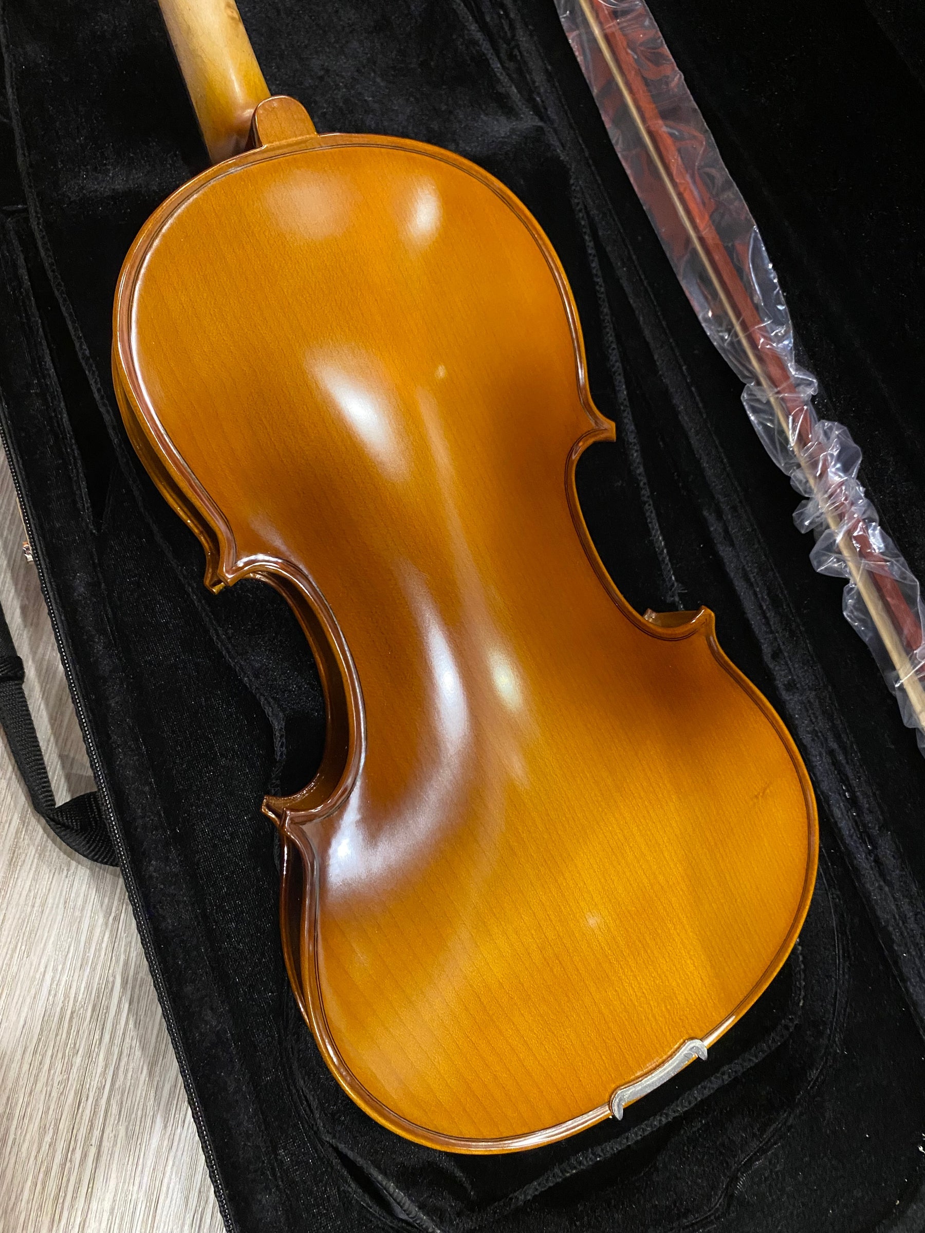 Benjamin Kienz Selection APE35-15 15'' Viola with Case