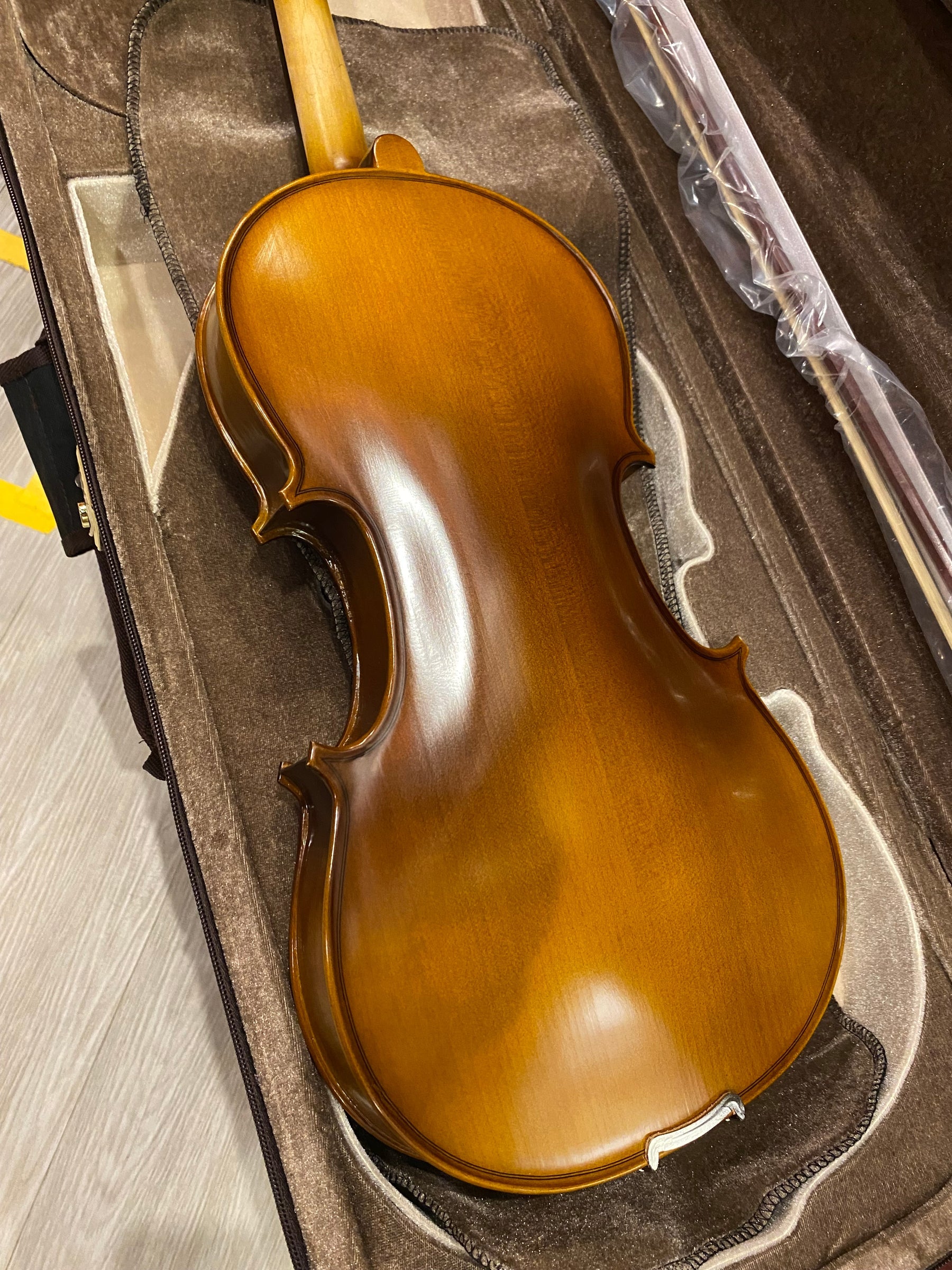 Benjamin Kienz Selection APE35-15.5 15.5'' Viola with Case