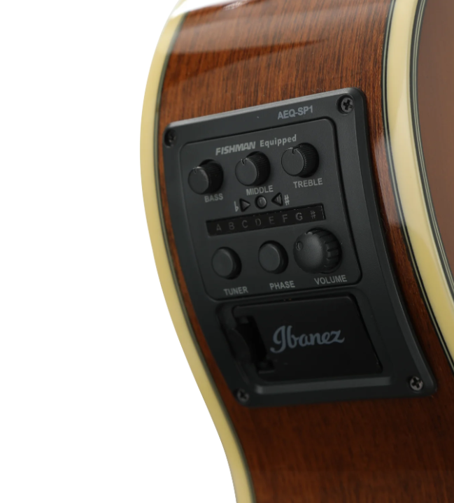 Ibanez AEG10II Acoustic Guitar - Natural Browned Burst High Gloss
