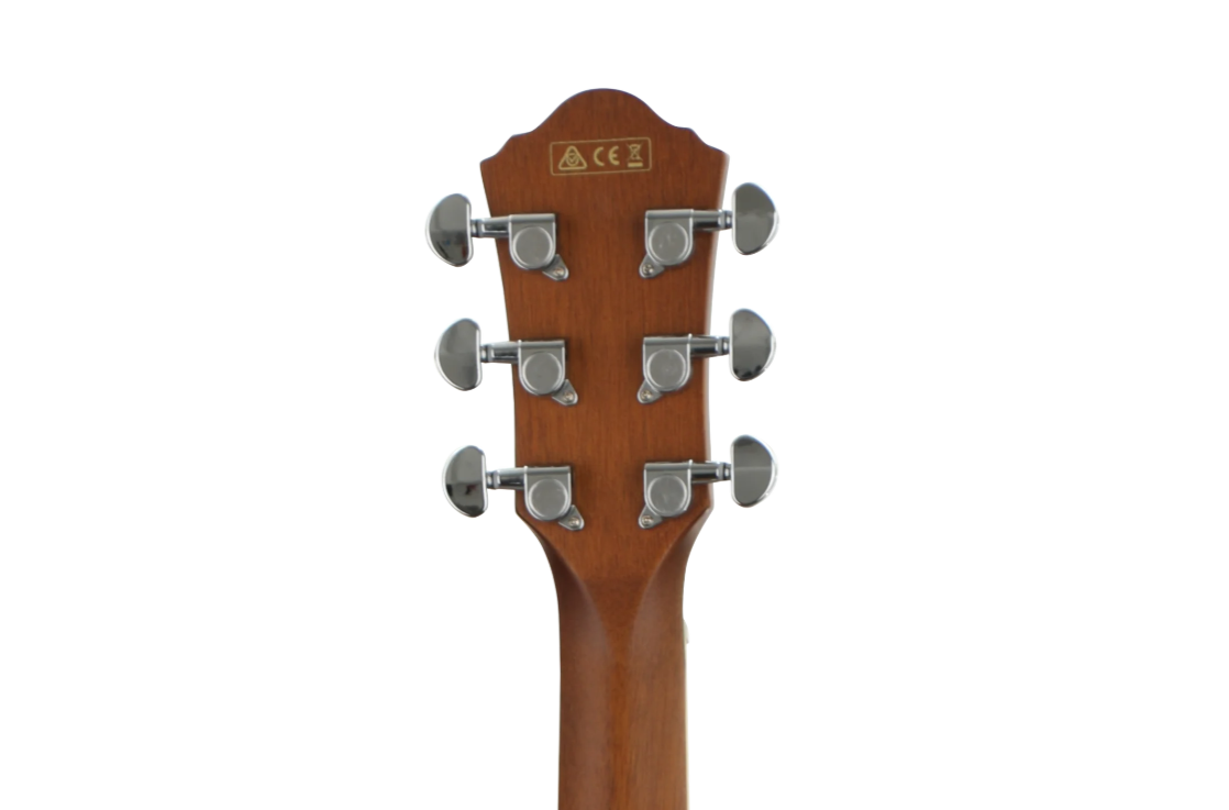 Ibanez AEG10II Acoustic Guitar - Natural Browned Burst High Gloss