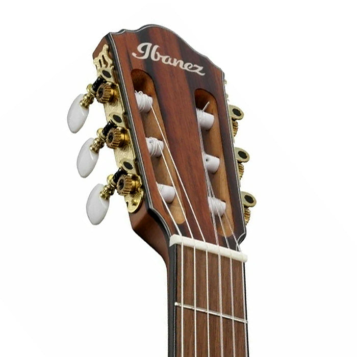 Ibanez FRH10N Thinline Nylon Acoustic-electric Guitar - Brown Sunburst
