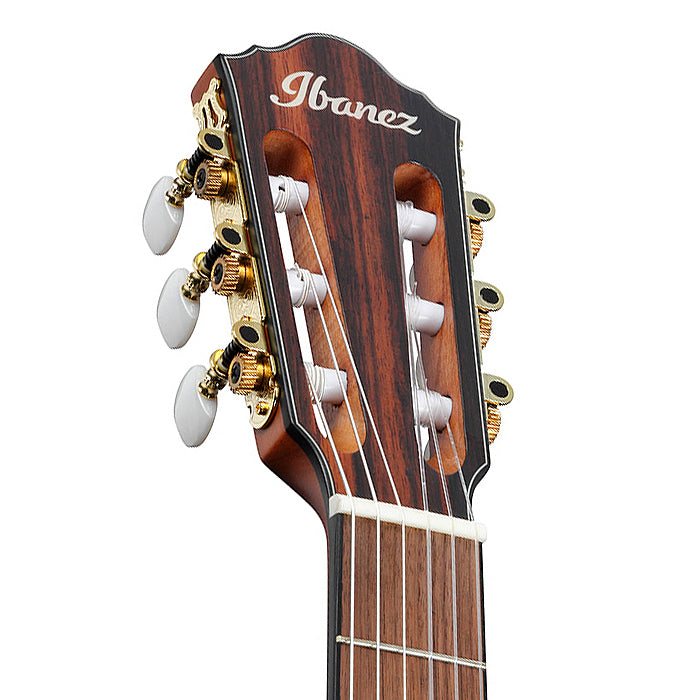 Ibanez FRH10N Thinline Nylon Acoustic-electric Guitar - Natural