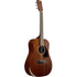 Ibanez PF14JR Acoustic Guitar - Open Pore Natural |  IBANEZ |  ACOUSTIC GUITAR |  Zoso Music