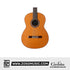 Cordoba C9 Crossover Nylon String Acoustic Guitar - Cedar Top (Full Solid) | Zoso Music Sdn Bhd