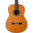 Cordoba C9 Crossover Nylon String Acoustic Guitar - Cedar Top (Full Solid) | Zoso Music Sdn Bhd