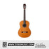 Cordoba C9 Crossover Nylon String Acoustic Guitar - Cedar Top (Full Solid) |  CORDOBA |  ACOUSTIC GUITAR |  Zoso Music