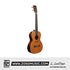 L. Luthier Koa C Tenor 26" Ukulele