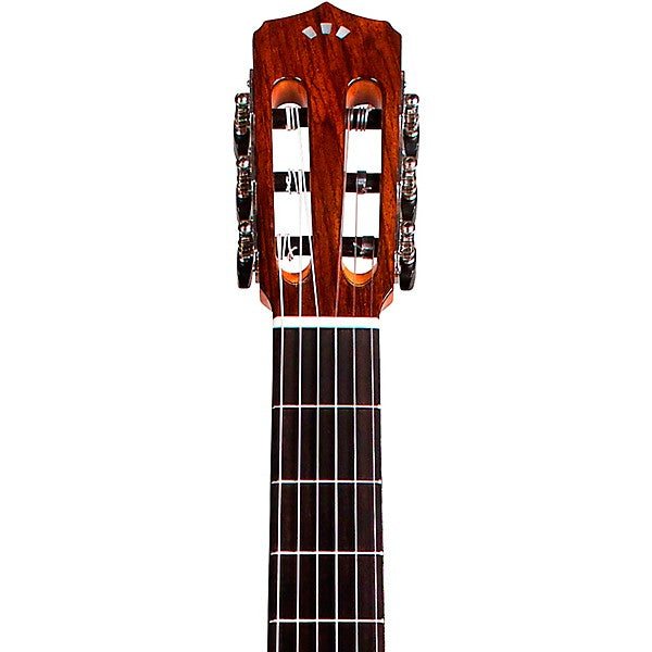 Cordoba Fusion Orchestra CE Tear Drop Burst - Solid Canadian Cedar Top, Rosewood Back & Sides with Pickup