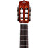 Cordoba Fusion Orchestra CE Tear Drop Burst - Solid Canadian Cedar Top, Rosewood Back & Sides with Pickup |  CORDOBA |  ACOUSTIC GUITAR |  Zoso Music