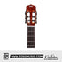 Cordoba Fusion Orchestra CE Tear Drop Burst - Solid Canadian Cedar Top, Rosewood Back & Sides with Pickup |  CORDOBA |  ACOUSTIC GUITAR |  Zoso Music