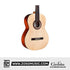 Cordoba Protege C1M 3/4 Size Classical Guitar - Spruce Top, Mahogany Back & Side, Entry Level Best Classical Guitar For Kids 10 - 12 Years Old, Beginners Classical Guitar |  CORDOBA |  CLASSICAL GUITAR |  Zoso Music