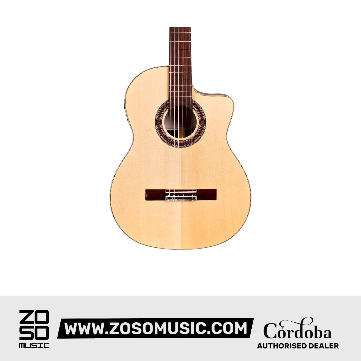 Cordoba GK Studio Limited Classical Guitar - Solid European Spruce Top, Ziricote Back & Sides with Pickup & Gator Guitar Case