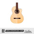 Cordoba GK Studio Limited Classical Guitar - Solid European Spruce Top, Ziricote Back & Sides with Pickup & Gator Guitar Case