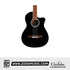 Cordoba Fusion 5 Classical Guitar - Jet Black with Gator Guitar Case