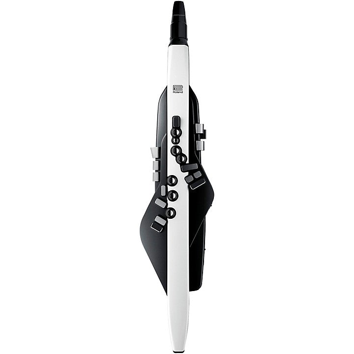 Roland Aerophone AE-20 Digital Wind Instrument  | Zoso Music Sdn Bhd