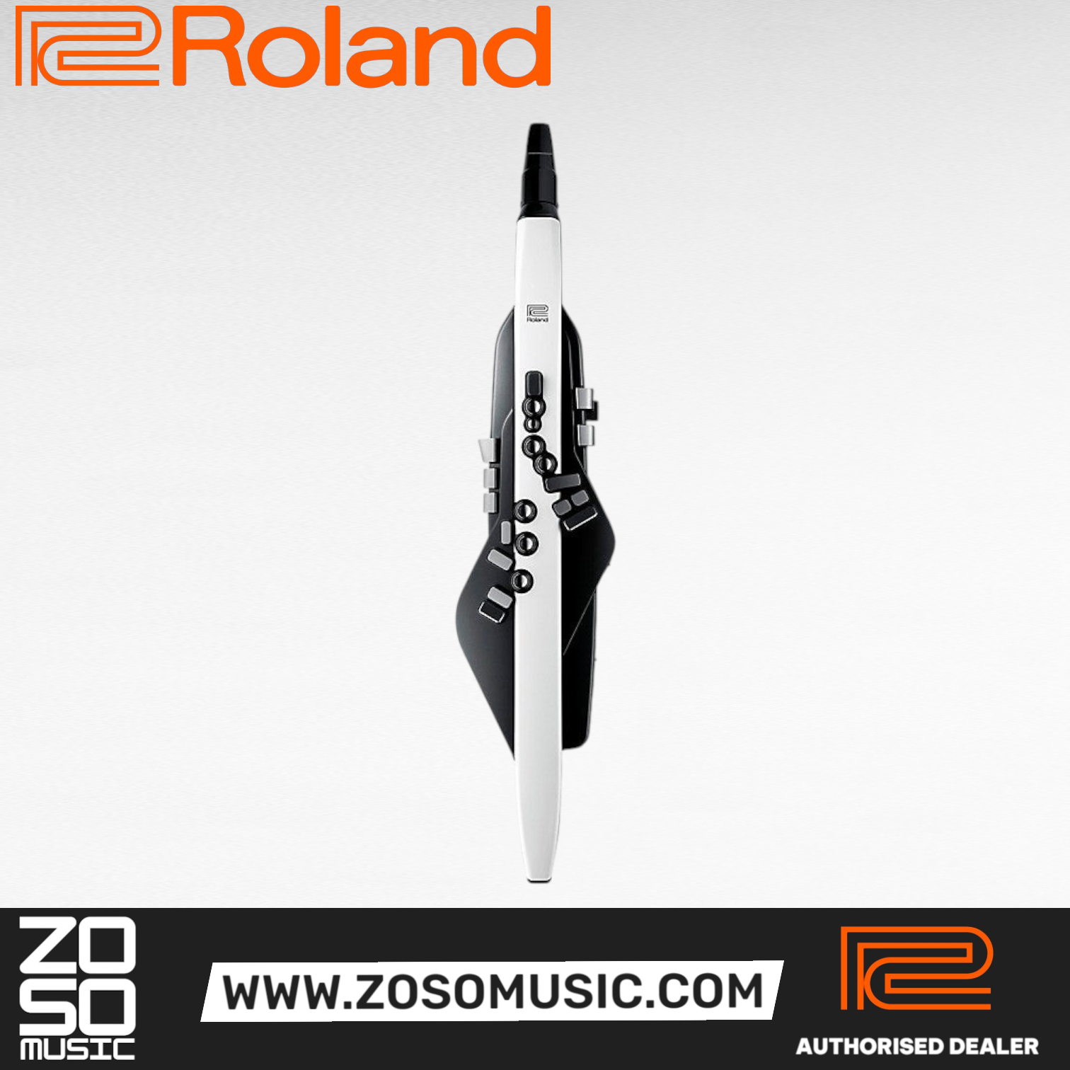 Roland Aerophone AE-20 Digital Wind Instrument  | Zoso Music Sdn Bhd