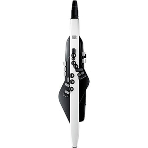 Roland Aerophone AE-20 Digital Wind Instrument  | Zoso Music Sdn Bhd