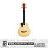 L. Luthier Le Light Koa S Tenor 26" Ukulele