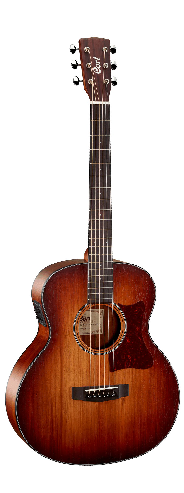 Cort Little CJ Acoustic Guitar With Bag Blackwood | CORT , Zoso Music