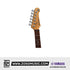 Yamaha PACS+12 Pacifica Standard Plus Electric Guitar, Rosewood Fingerboard - Ash Pink |  YAMAHA MUSIC |  ELECTRIC GUITAR |  Zoso Music